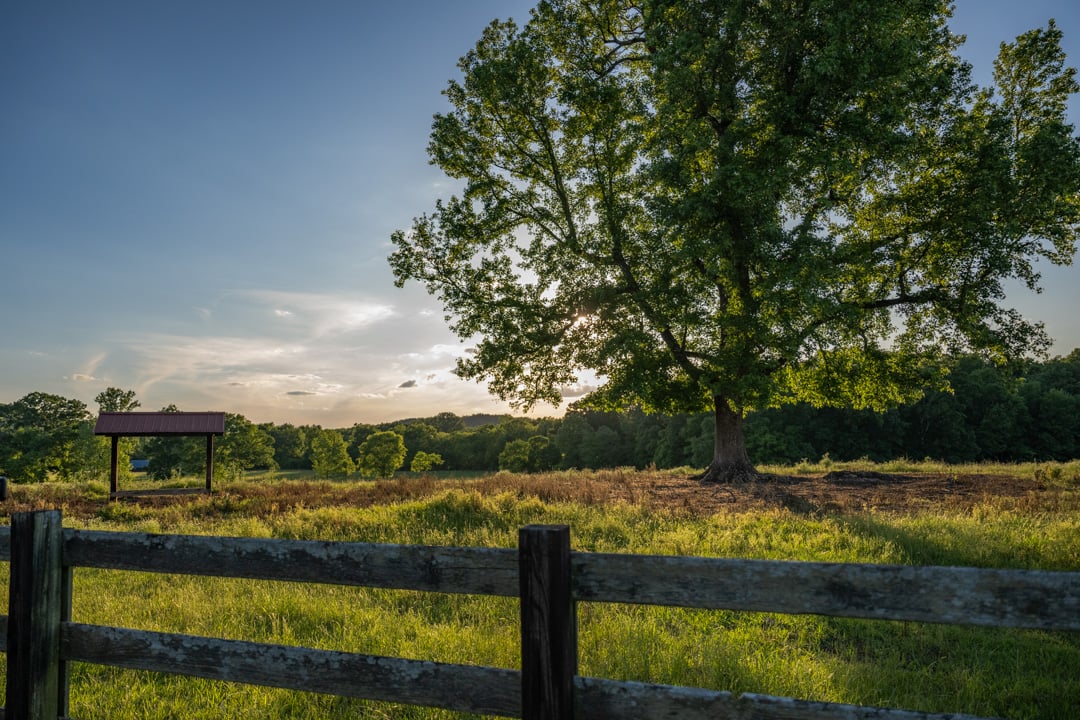 FarmLinks-005