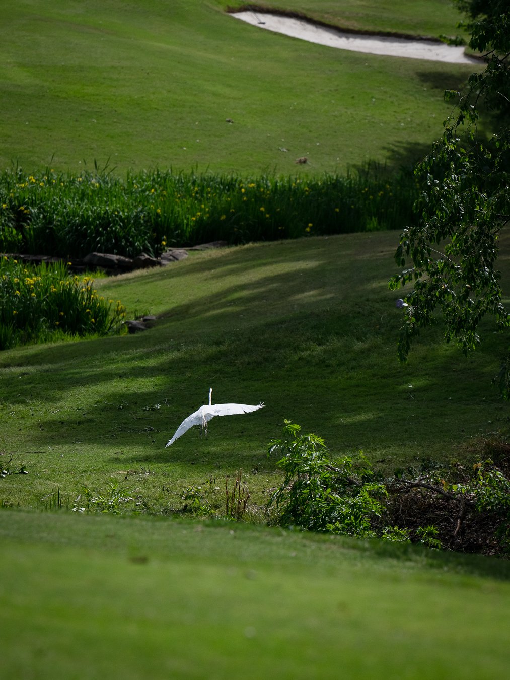 OW_2026_Golf-152
