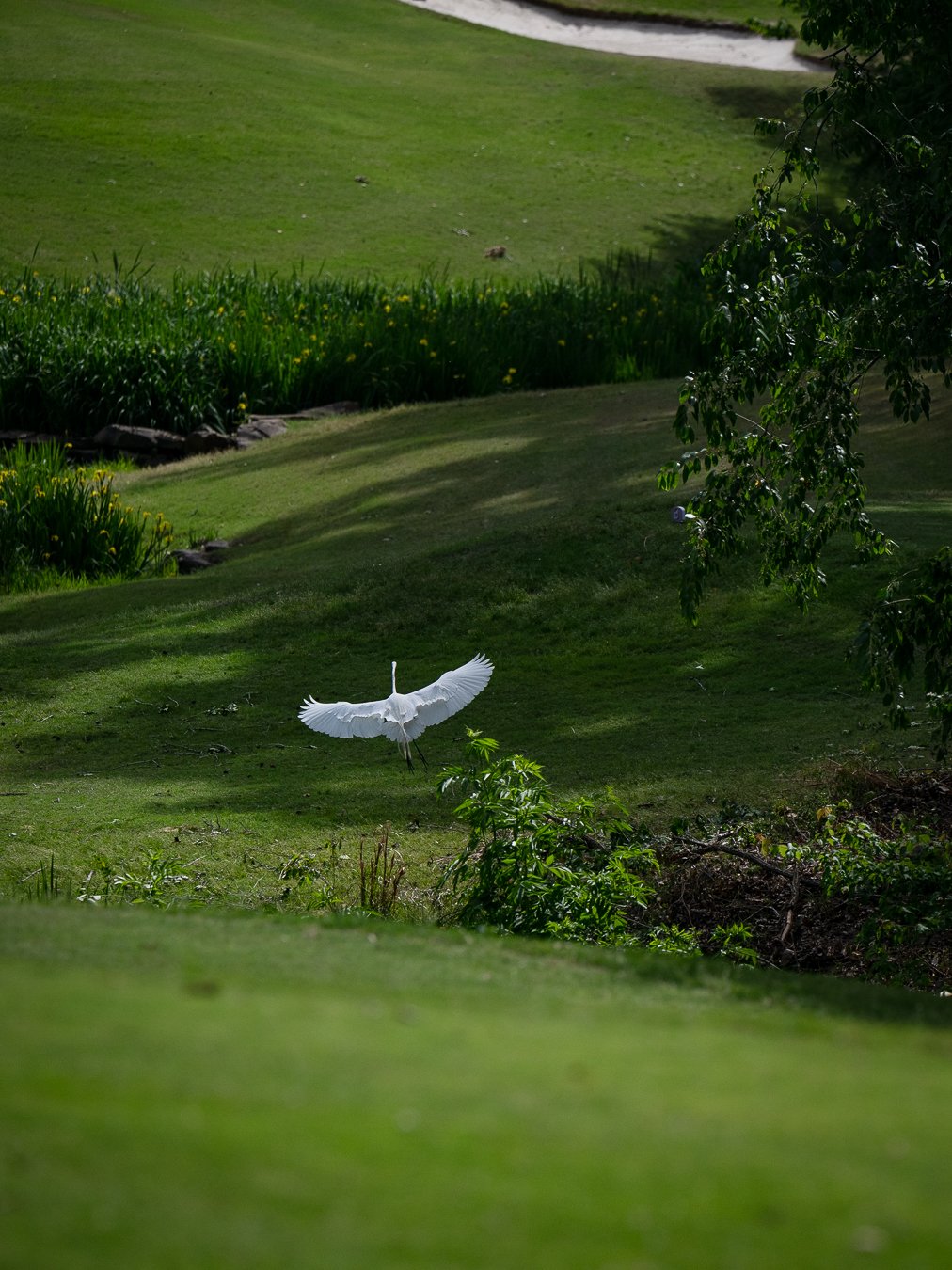 OW_2026_Golf-153