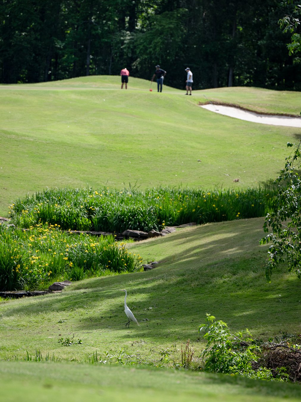 OW_2026_Golf-154
