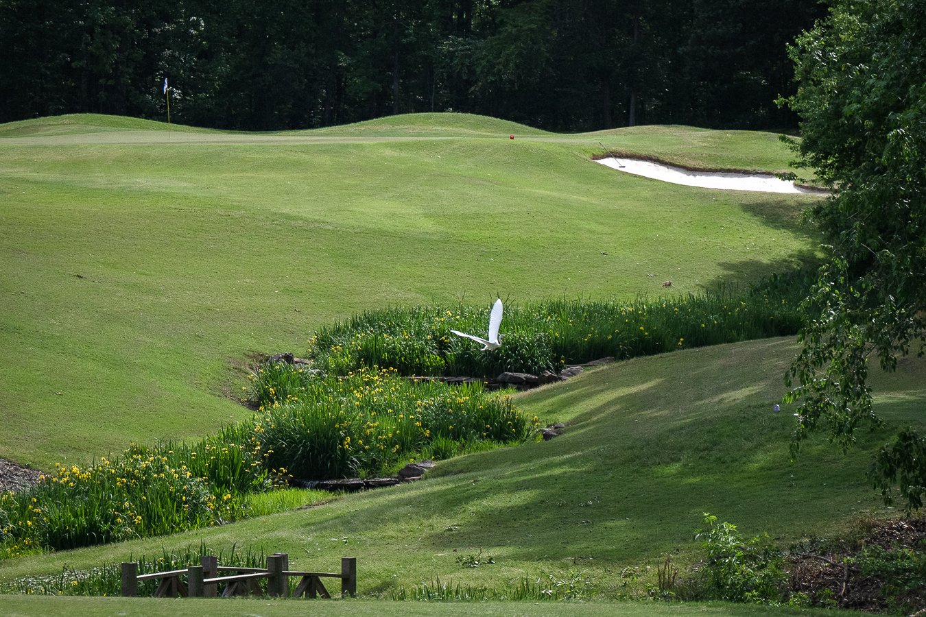 OW_2026_Golf-157