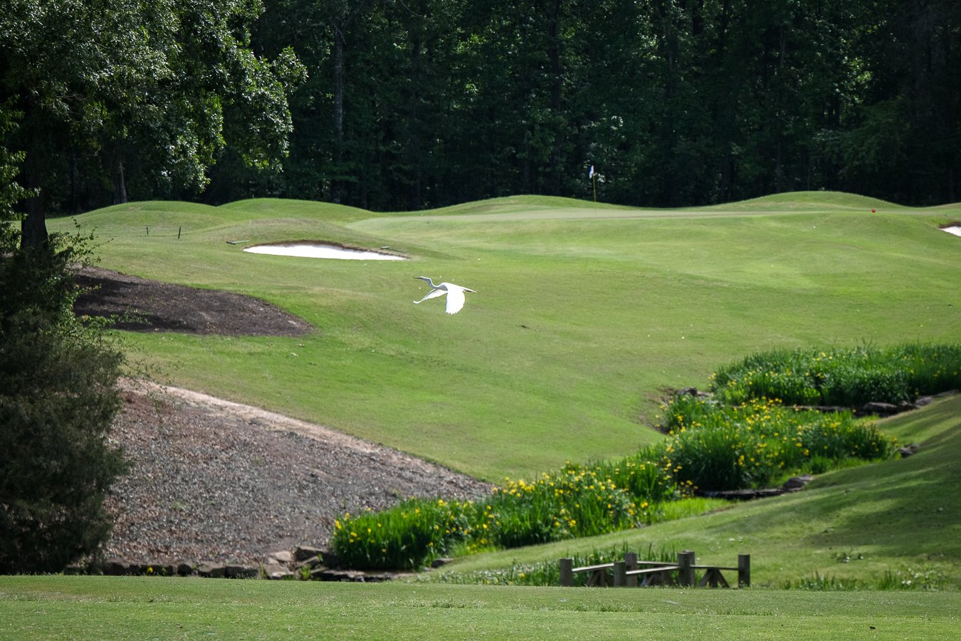 OW_2026_Golf-158