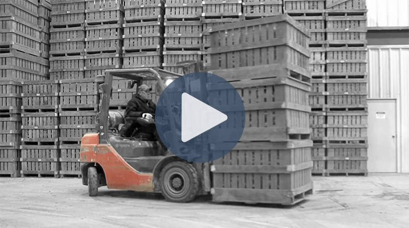 Matthews Ridgeview Toyota Forklift Case Study Video